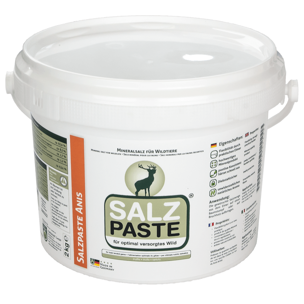 Salzpaste Anis