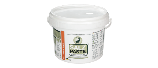 Salzpaste Anis