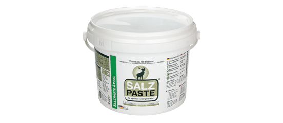 Salzpaste Apfel